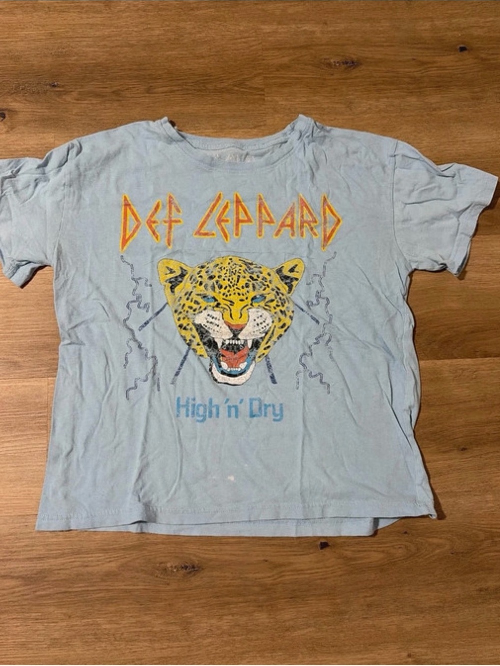 AC/DC Light Blue Tee with Yellow Leopard Graphic